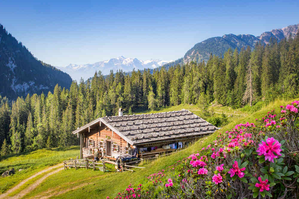 Cabane de montagne